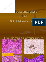 Curs 4 Patologia Aparatului Urinar