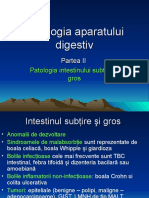 Curs 3 Patologia Aparatului Digestiv II