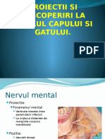 Proiectii Nervi II