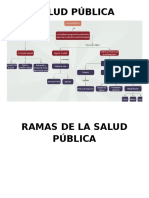 Salud pública: ramas y áreas clave