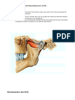 Articulación Temporomalndibular