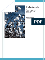 Apuntes Hidratos de Carbono UCINF.pdf
