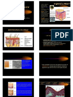 Sistema Tegumentar PDF