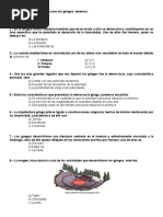 Evaluacion Historia 3° Basico Los Griegos 2