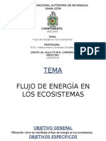 Flujo de Energía en Los Ecosistemas