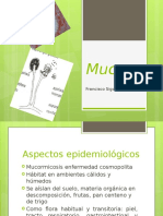 exposicion micologia - mucor