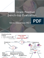 Gram Positive Evaluation