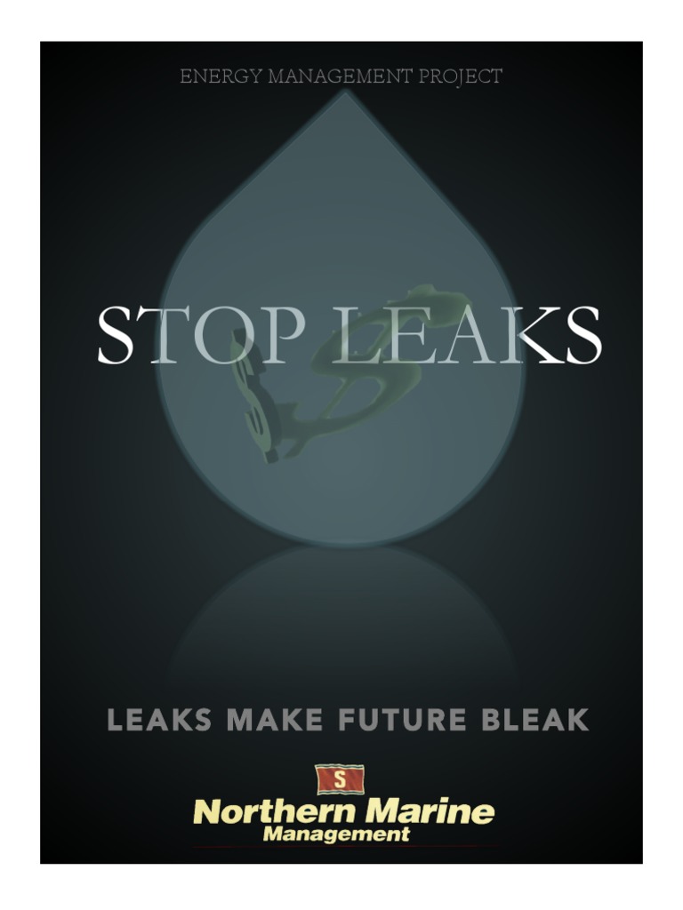 Poster Energy Management Project PDF