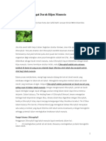 Chlorophyll Sebagai Darah Hijau Manusia1