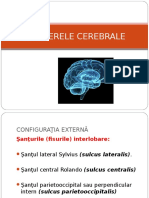 Emisfere Cerebrale 2016