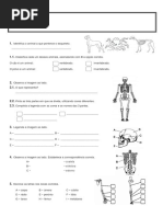 ESTUDO Do Meio-4º ANO 1ºperíodo- 2013-14