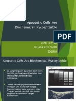 Kel 2 Apoptosis