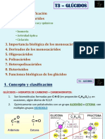 Tema 3. Glucidos