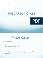 07 Carbon Cycle