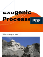 Exogenic Processes1