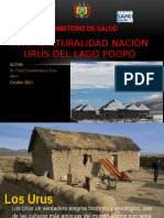 Interculturalidad Nación Urus Del Lago Poopó