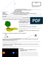 Prueba Ciencias Naturales - Fuerzas