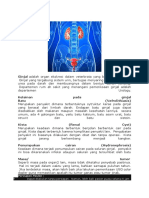 Renal Ultrasound