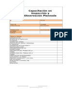 Inspeccion y Observacion Planeada