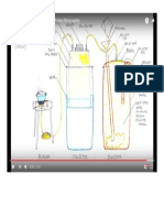 Biogas Plant Diagram