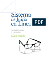 Sistema de Juicio en Linea - Deloitte