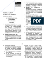 Ley de Seg. y Salud-29783.pdf