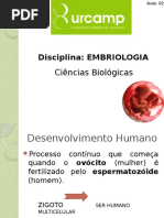 Aula 2. Introdução a Embriologia Humana