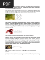 Download pigmen pada algarumput lautdocx by sindysintyadewi SN329285159 doc pdf