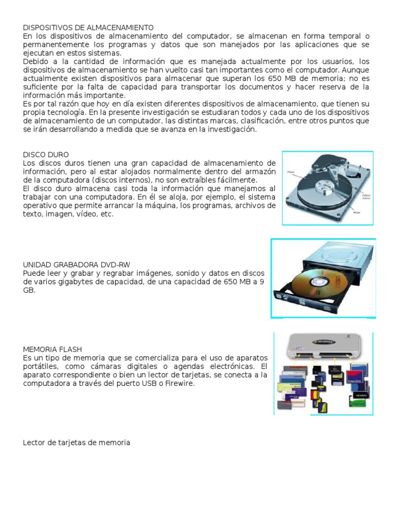 Dispositivos de Almacenamiento | PDF | Microsoft Word | Hardware de la  computadora