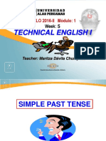 Ayuda 5.3. Simple Past Tense