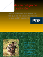 Animales en Peligro de Extincic3b3n