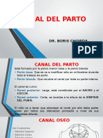 Canales del parto: estructura y diámetros del canal óseo y blando