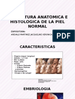 Expo2 _estructura Anatomica Histologica Epidermis 20-7