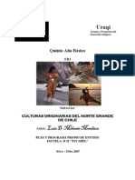 Ppp Culturas Origin Arias Del Norte Grande de Chile