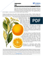 Types of Sweet Oranges To Know and Grow