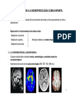 Cap 1 - Intro Neuropsico Clinica Inf - v2