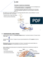 Cap 3 - Desarrollo SNC