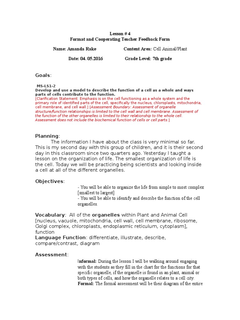 Vacuole Function 7th Grade - Aflam-Neeeak