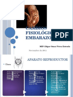 cambiosfisiolgicosdelembarazo-111120224418-phpapp02.pptx