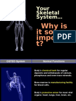 Your Skeletal System : Why Is It So Importan T?