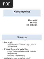 1Hematopoiese