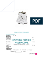Historia Clinica Multimodal