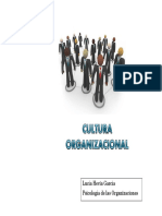 Cultura Organizacional A PDF