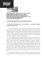 A Postura Fenomenológica Nas Ciencias Sociais_trabalho Metodologia