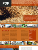 Cad.prof 10 Economia