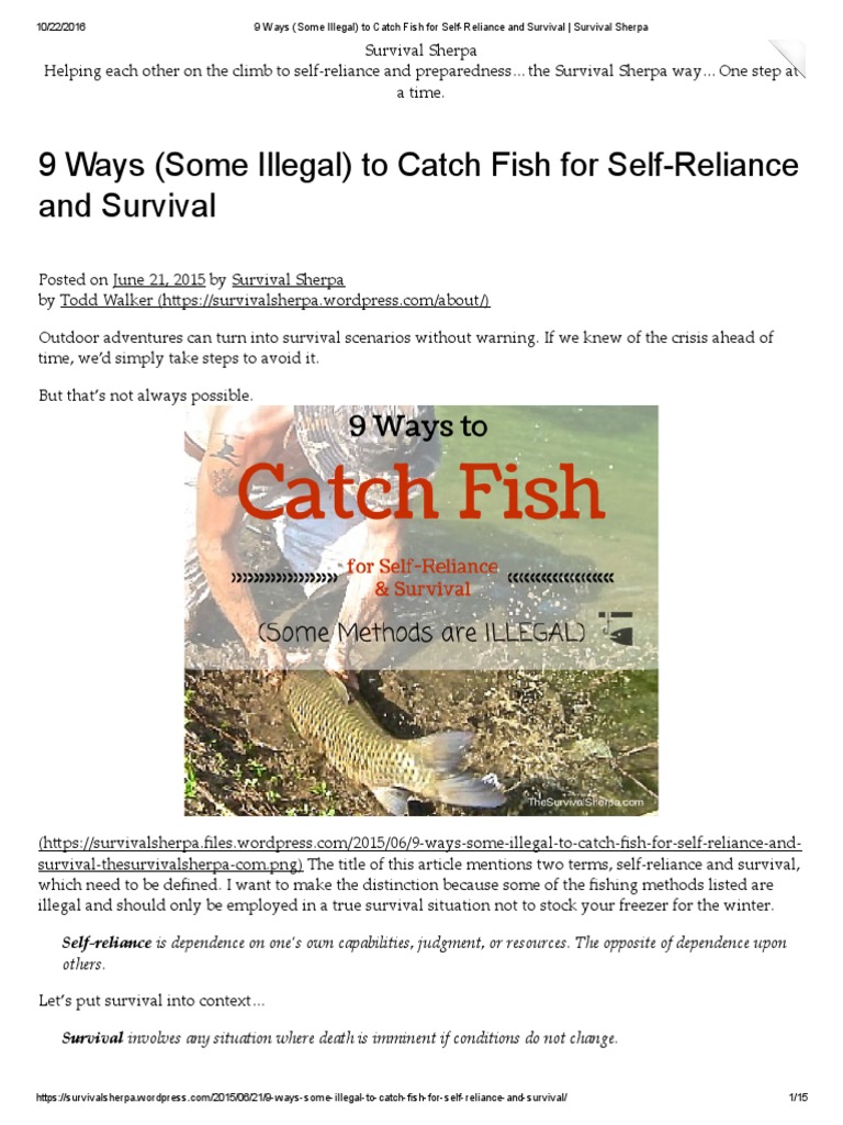 9 Ways (Some Illegal) to Catch Fish for SelfReliance & Survival