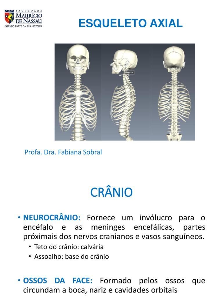 Esqueleto Axial | Vértebra | Coluna Vertebral | Avaliação gratuita de ...