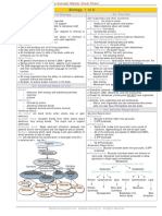 Bio Cheat Sheet Master