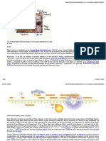 standardModelHighEnergyIntroduction_01December2014