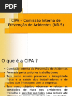 03 - NR5 - CIPA.pptx
